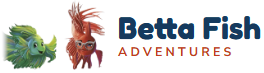 Betta Fish Adventures — Arya and Krishna